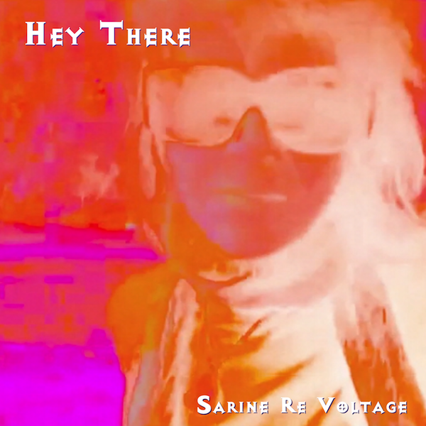 hey there cover art